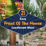 21 Easy Front of the House Landscape Ideas
