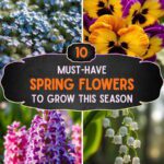10 Must-Have Spring Flowers to Grow This Season