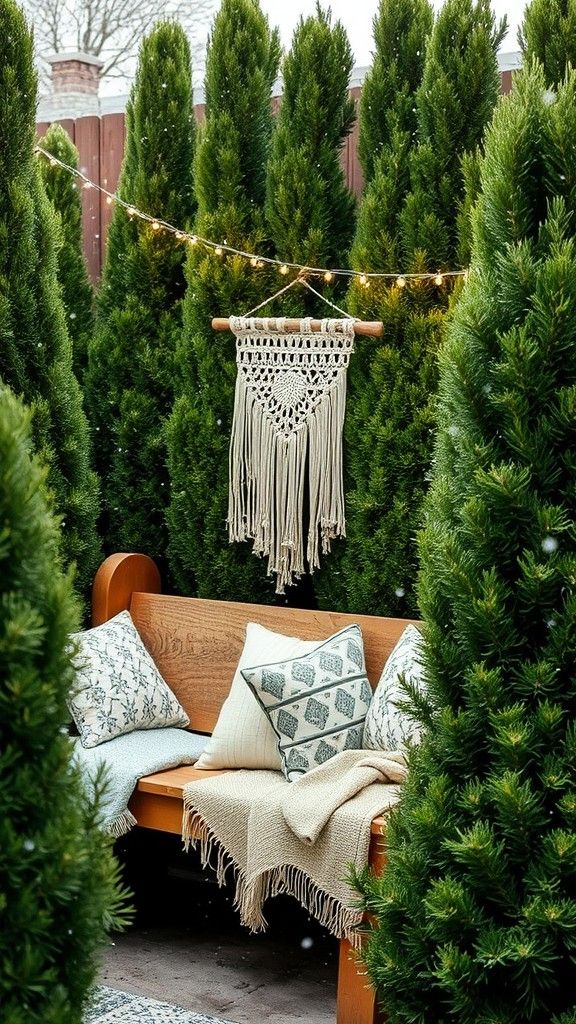 Plant Evergreen Shrubs