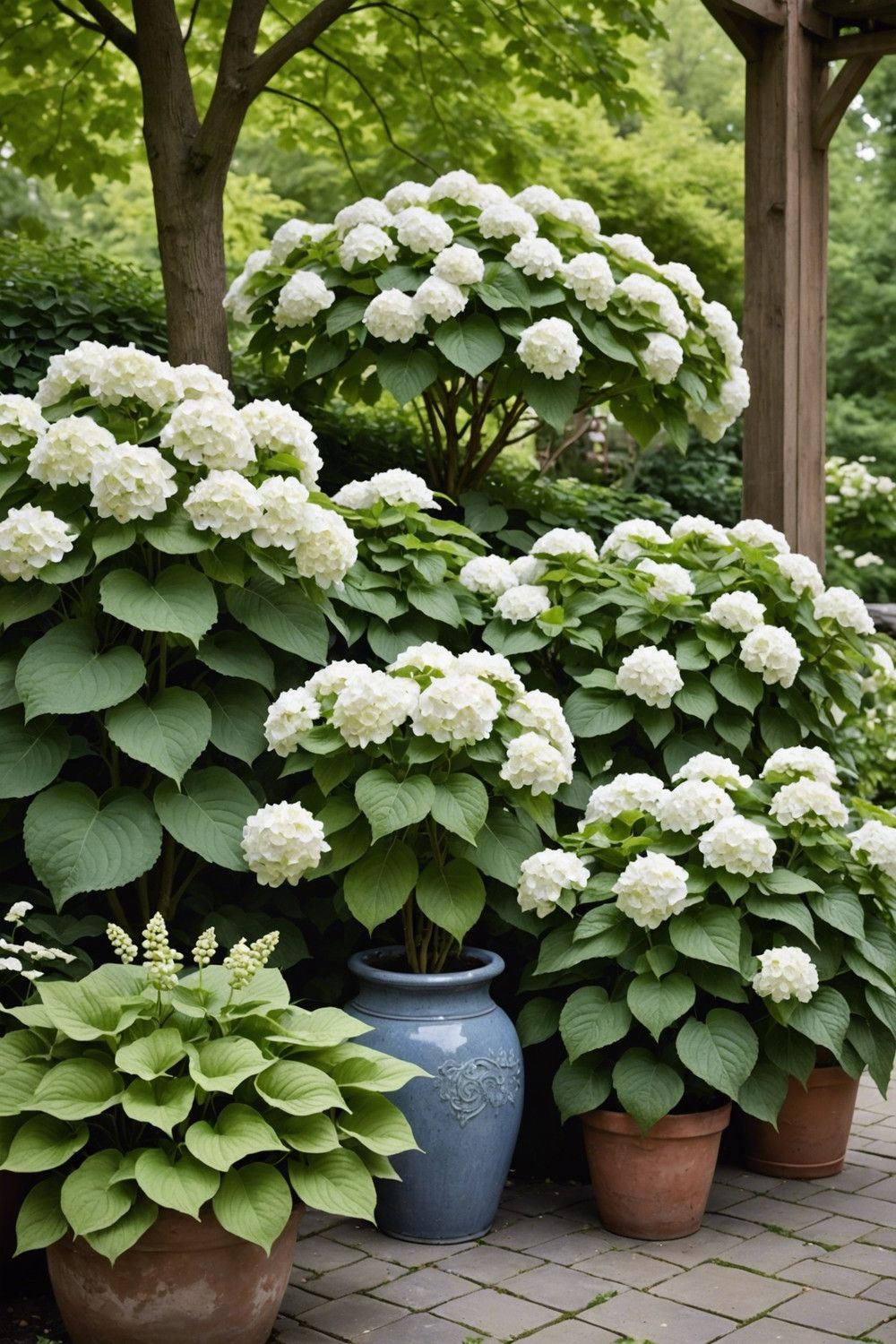 Boho Chic with Oakleaf Hydrangeas and Unusual Hostas