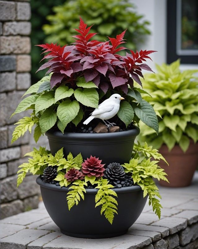 Edgy Elegance: Design a Coleus Container with Black and White Accents