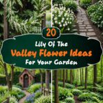 20 Lily Of The Valley Flower Ideas For Your Garden