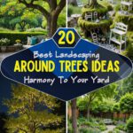 20 Best Landscaping Around Trees Ideas