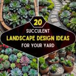 20 Succulent Landscape Design Ideas For Your Yard