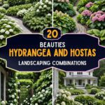 20 Hydrangea And Hostas Landscaping Combinations