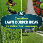 20 Lawn Border Ideas To Define Your Landscape