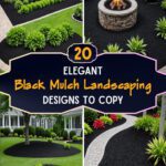 20 Elegant Black Mulch Landscaping Designs To Copy