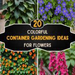 20 Colorful Container Gardening Ideas For Flowers