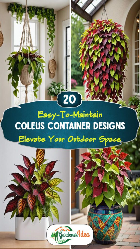 20 Easy-To-Maintain Coleus Container Designs