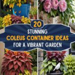 20 Stunning Coleus Container Ideas For a Vibrant Garden