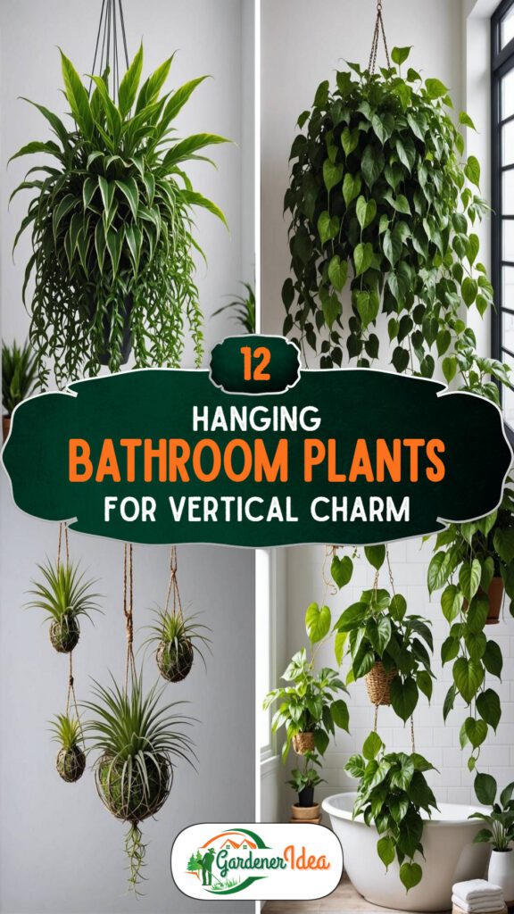 12 Hanging Bathroom Plants For Vertical Charm