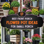 17 Best Front Porch Flower Pot Ideas For Small Porch