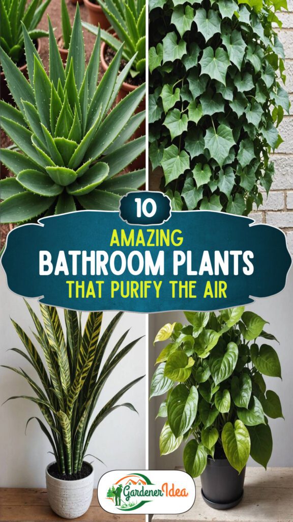 10 Bathroom Plants That Purify The Air