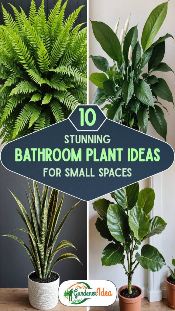 10 Stunning Bathroom Plant Ideas For Small Spaces