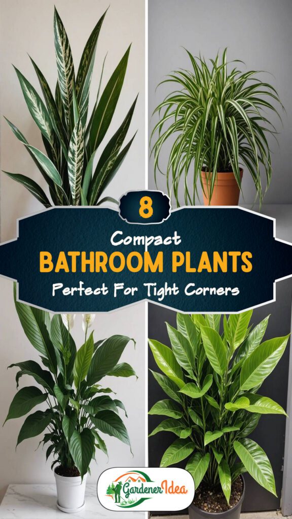 8 Compact Bathroom Plants Perfect For Tight Corners
