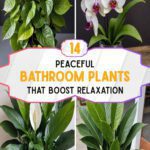 14 Bathroom Plants That Boost Relaxation