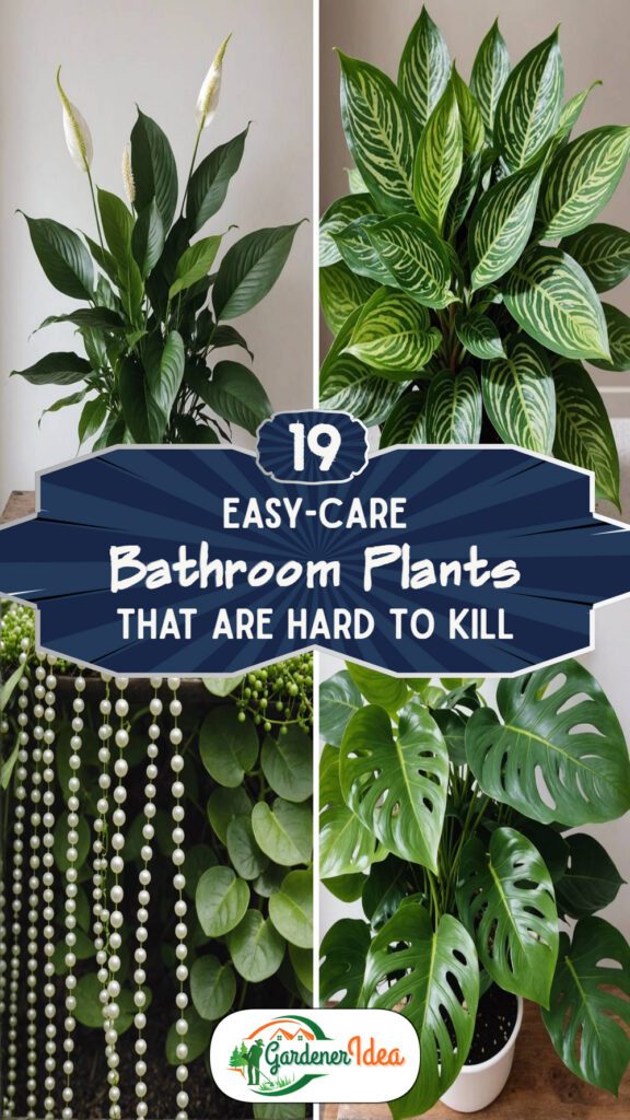 19 Bathroom Plants That Are Hard To Kill