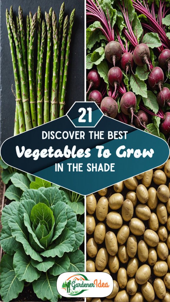 21 Vegetables To Grow In The Shade