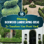 15 Stunning Boxwood Landscaping Ideas to Transform Your Front Yard!