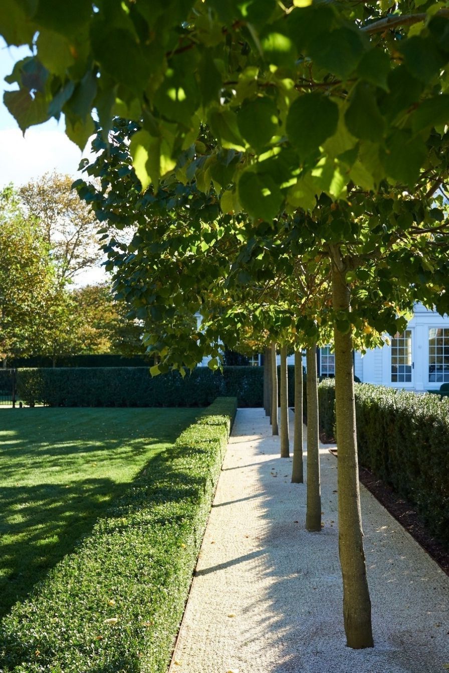 Boxwood Garden Borders