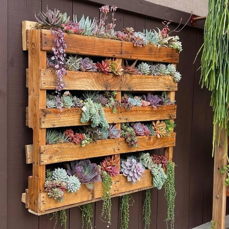 Vertical Pallet Garden