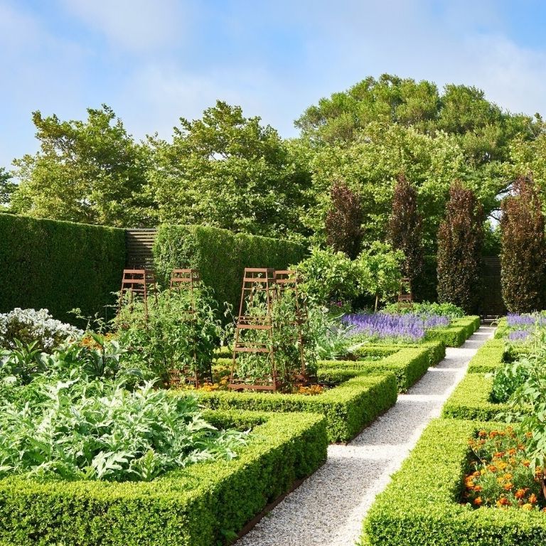 Boxwood in Raised Garden Beds