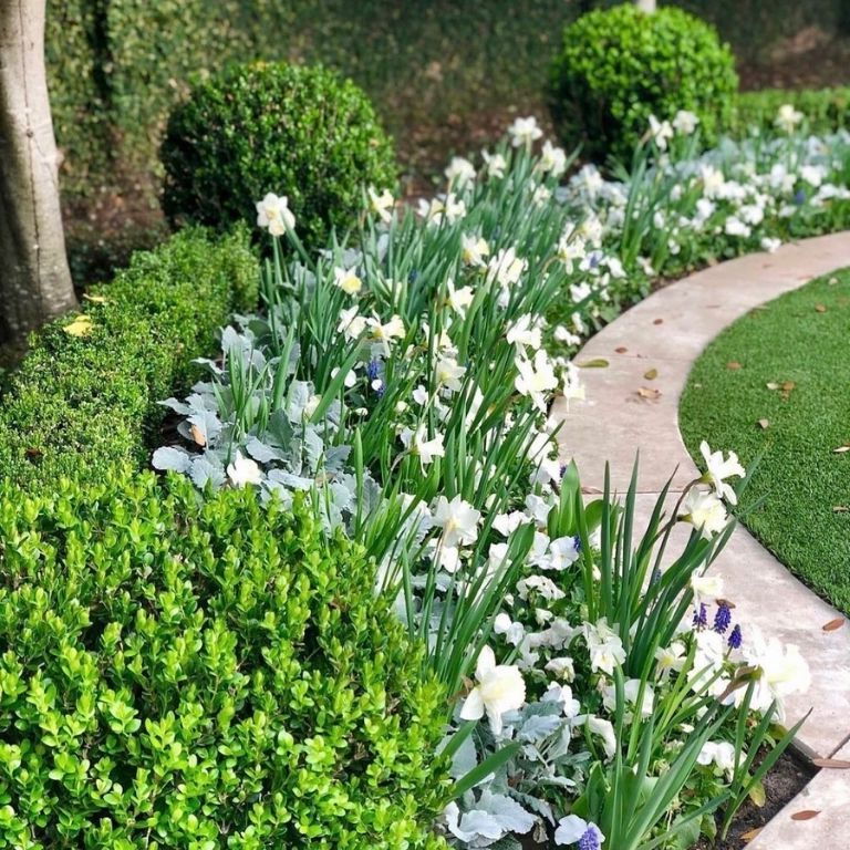 Boxwood and Flower Combo