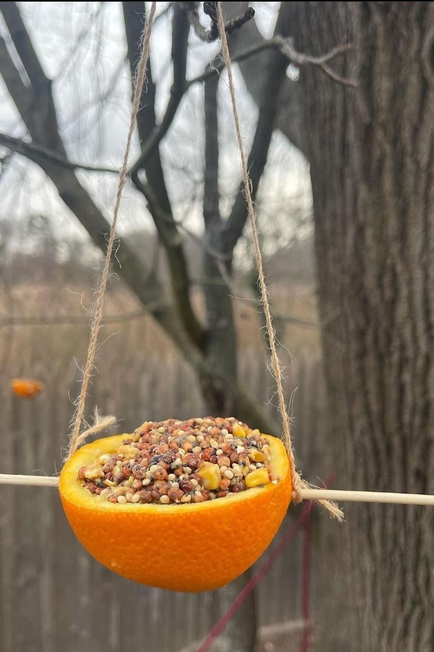 DIY Bird Feeders