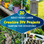 Budget-Friendly Garden: 20 Creative DIY Projects to Transform Your Outdoor Space