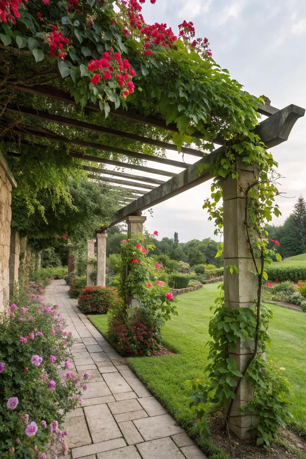 A pergola adorned with climbing plants, forming a serene garden retreat.
