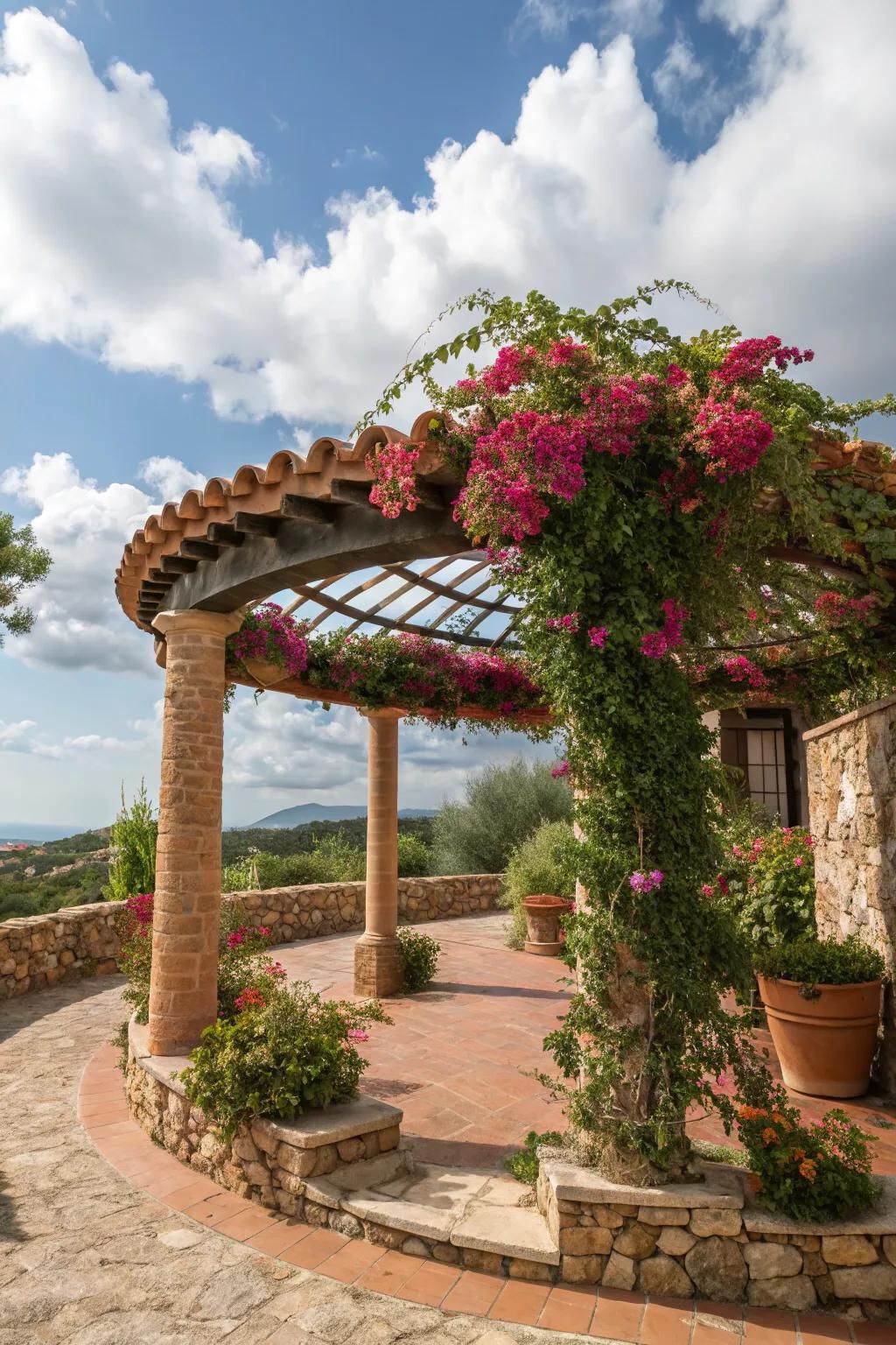 A Mediterranean-style pergola brings a touch of the coast to your garden.