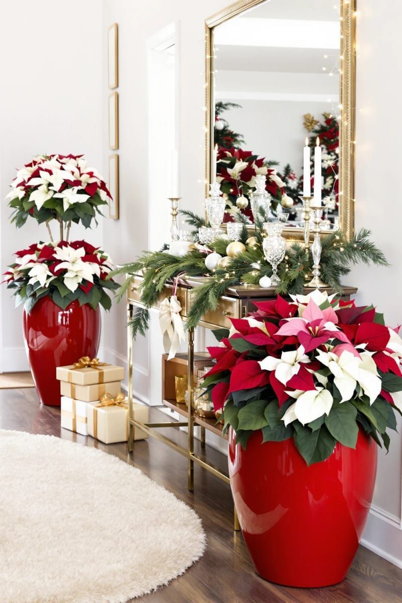 oversized poinsettia bouquets in shiny red planters for the entryway 1