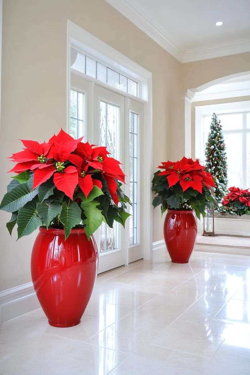 oversized poinsettia bouquets in shiny red planters for the entryway 1