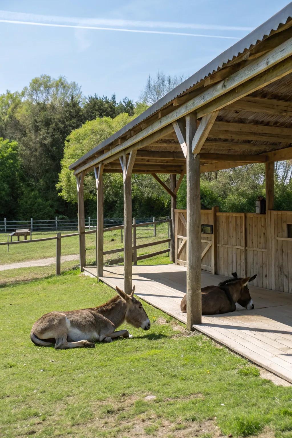 11. Opt for Open Shelters