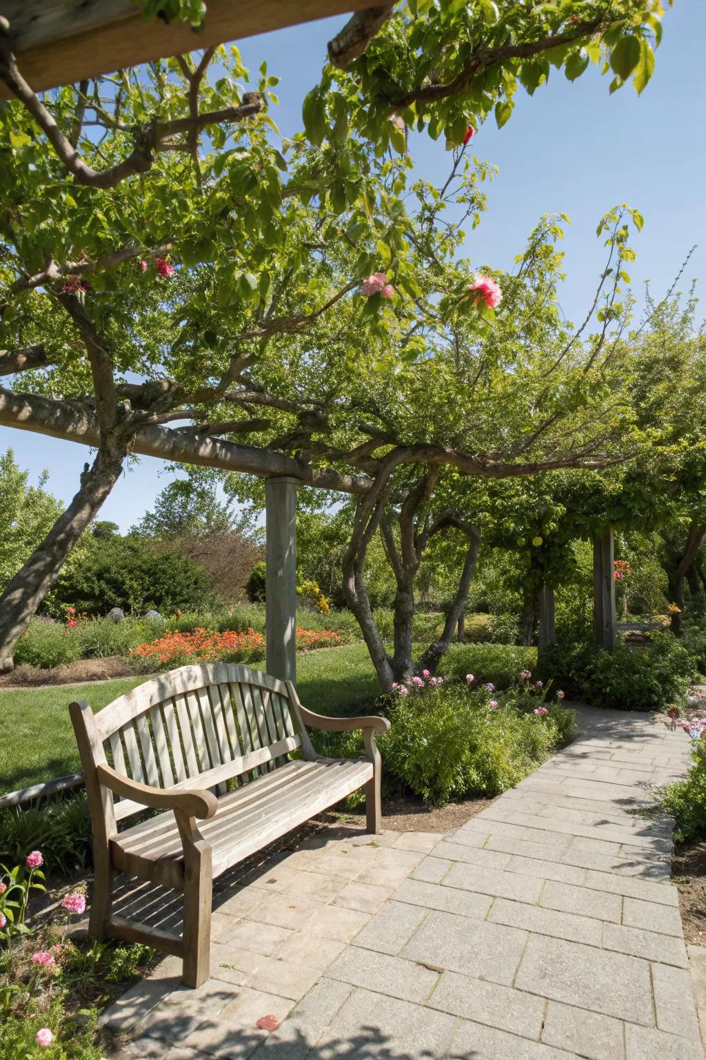 15+ Inspiring Backyard Orchard Ideas