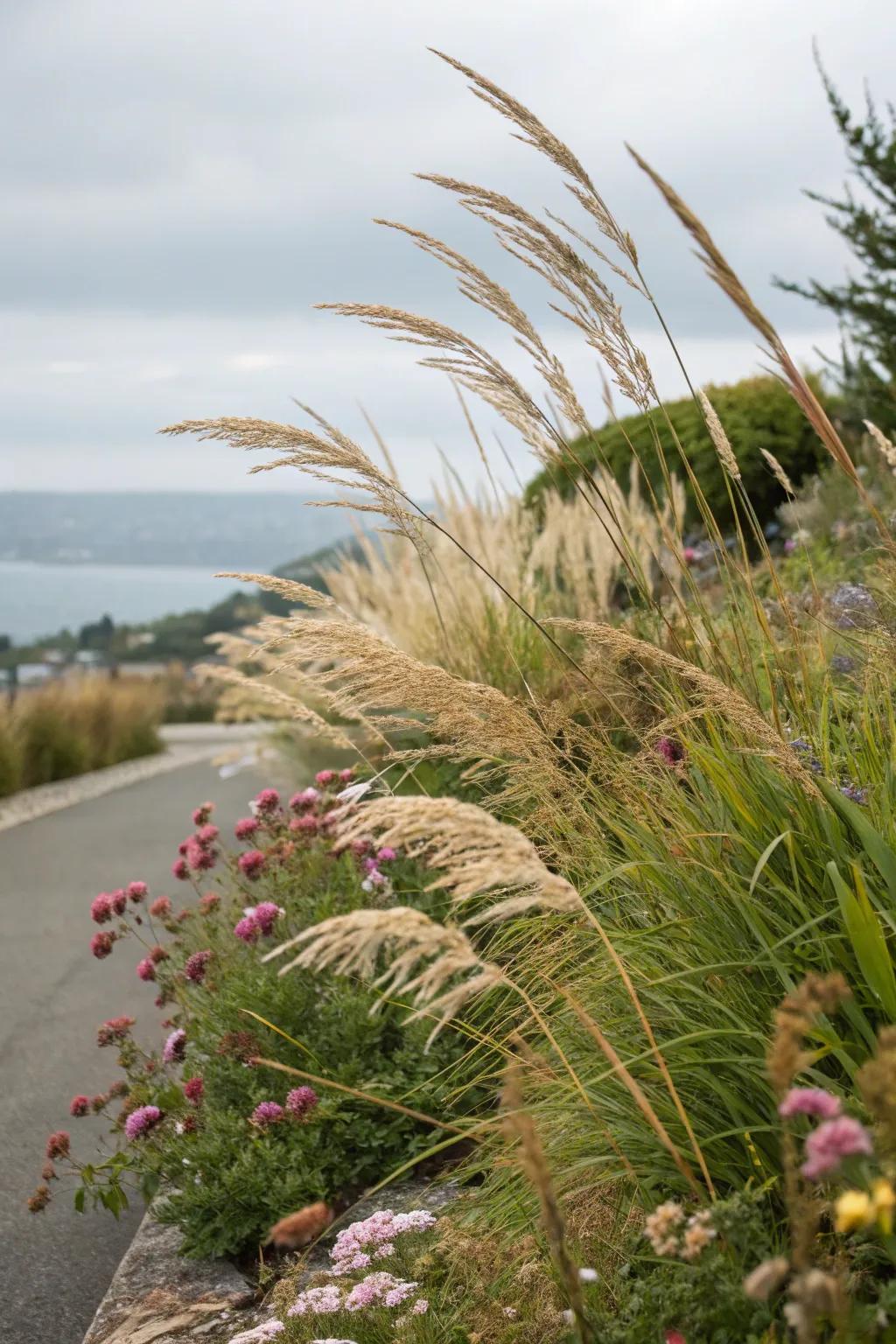 9. Ornamental Grasses Add Movement