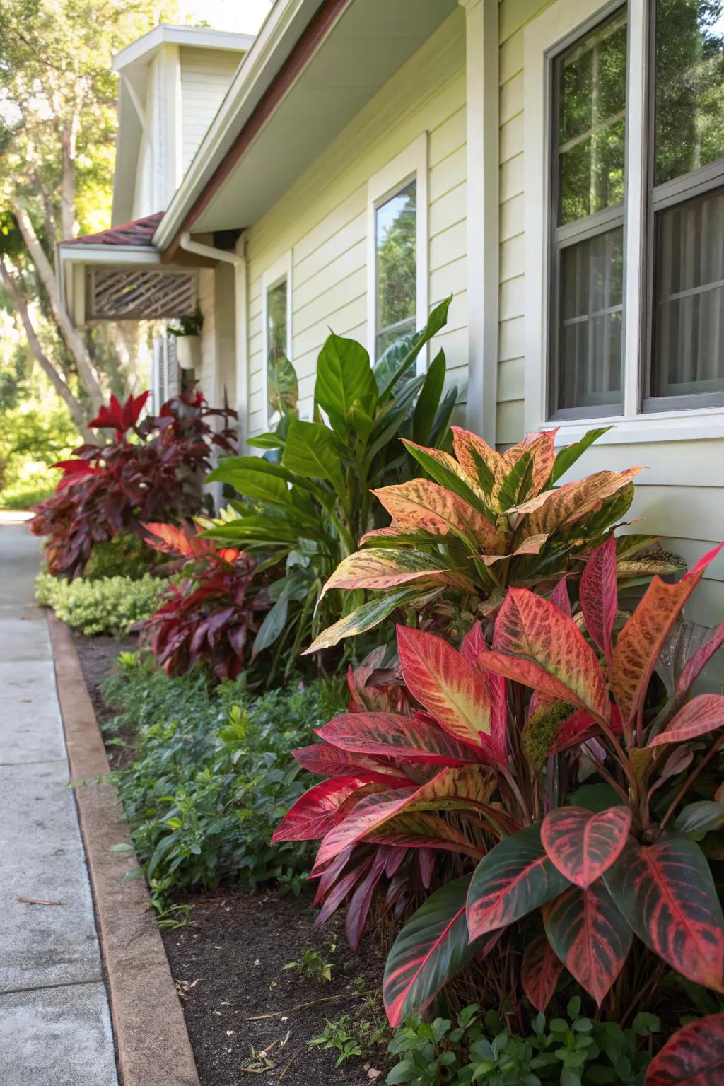 4. Colorful Foliage for Contrast