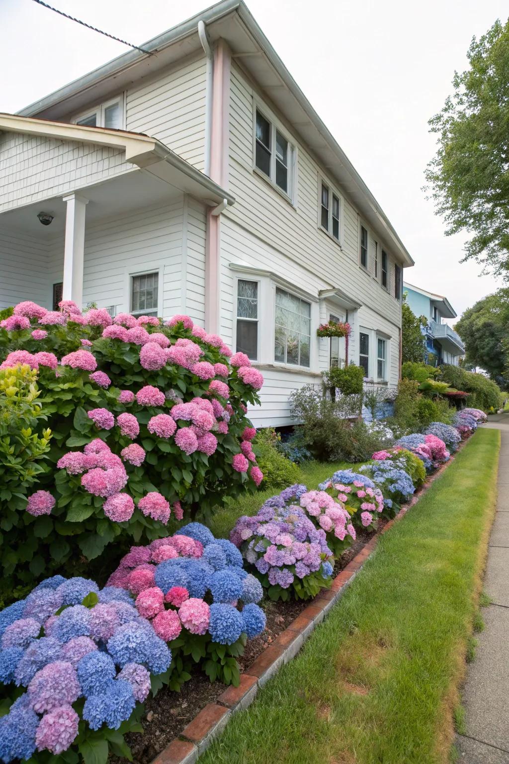 17+ Smart Plants for a Beautiful House Foundation