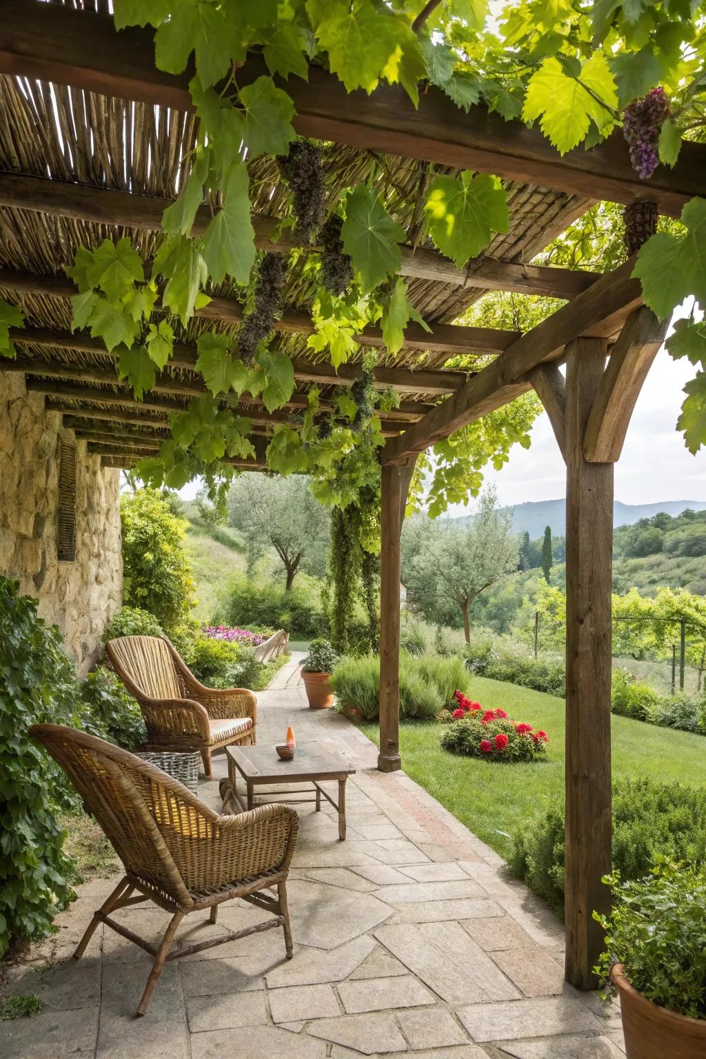 14. Set Up a Cozy Pergola